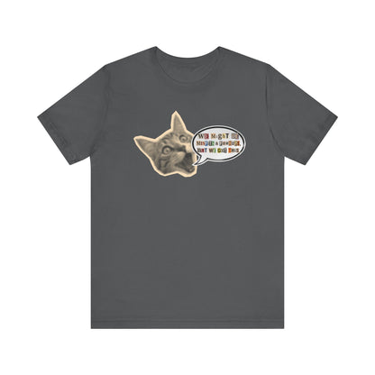 Cat Meme T‑Shirt — Vintage Cat Head Saying "We Might Be Misfits And F@#kups, But We Got This!""